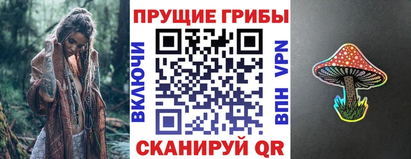Псилоцибиновые грибы мицелий  цены   Холм 